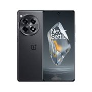 OnePlus 12R, 16ГБ/256ГБ, Global Iron Gray (no charger)